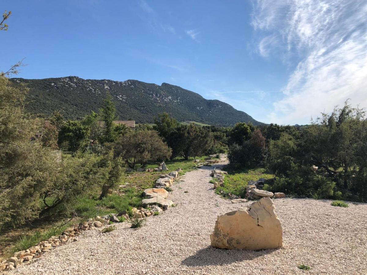 Le Domaine Du Cade-Gites D'Exception 4Etoiles "La Villa Du Cade" Cazevieille Kültér fotó