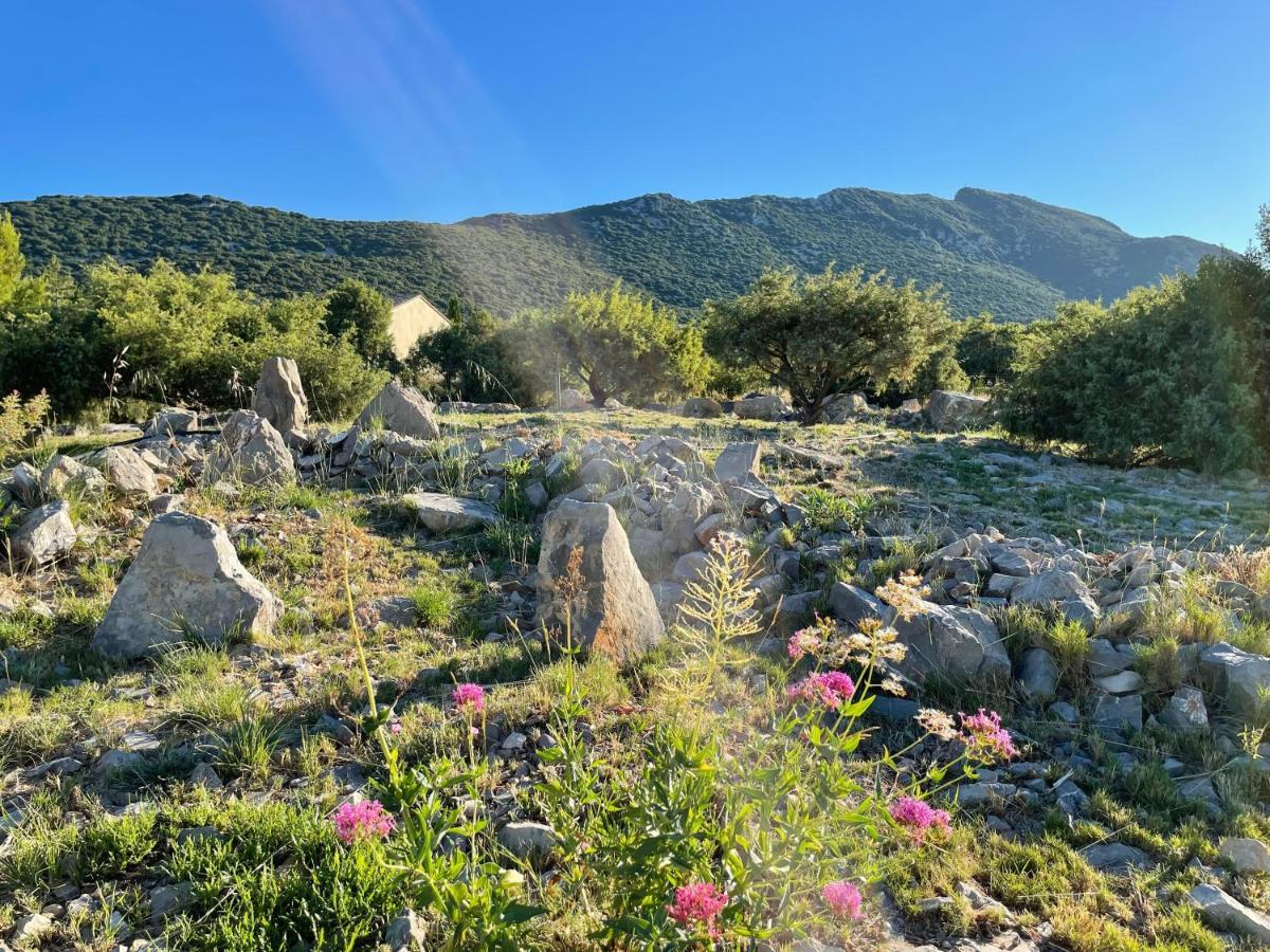 Le Domaine Du Cade-Gites D'Exception 4Etoiles "La Villa Du Cade" Cazevieille Kültér fotó